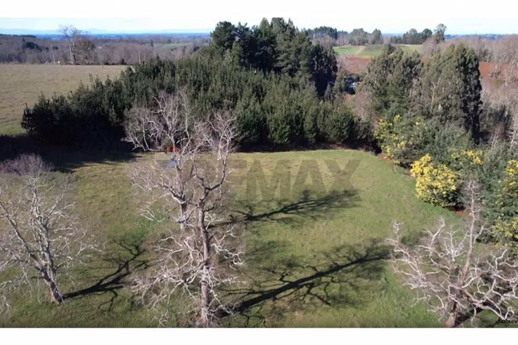 Terrenos 5.000 m² montaña región de los lagos