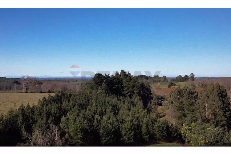 Terrenos 5.000 m² montaña región de los lagos