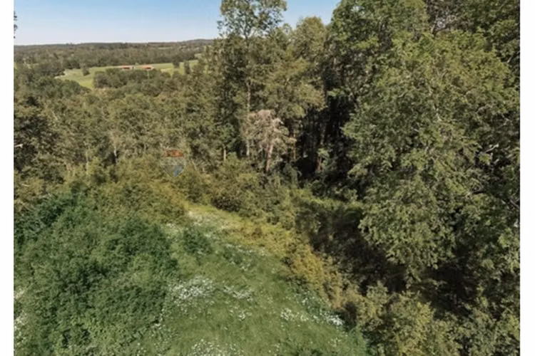 Terrenos 5.000 m² a 20 min de osorno, los lagos