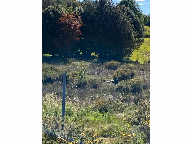 Se vende hermosa casa en una parcela en Chiloé