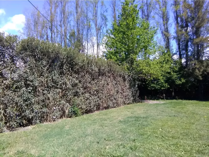 Paine Dia De Campo EXCLUSIVO para grupos en parcela. Piscina Cancha Quincho con parrillas y horno de barro