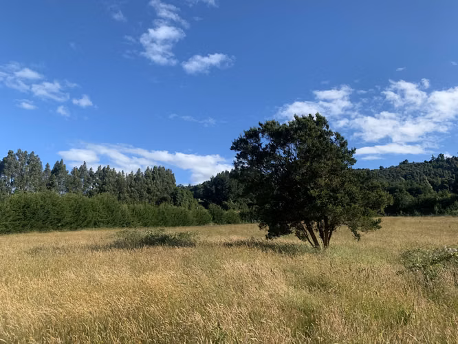 Preciosa Parcela Puerto Varas vista al Lago y acceso privado a playa