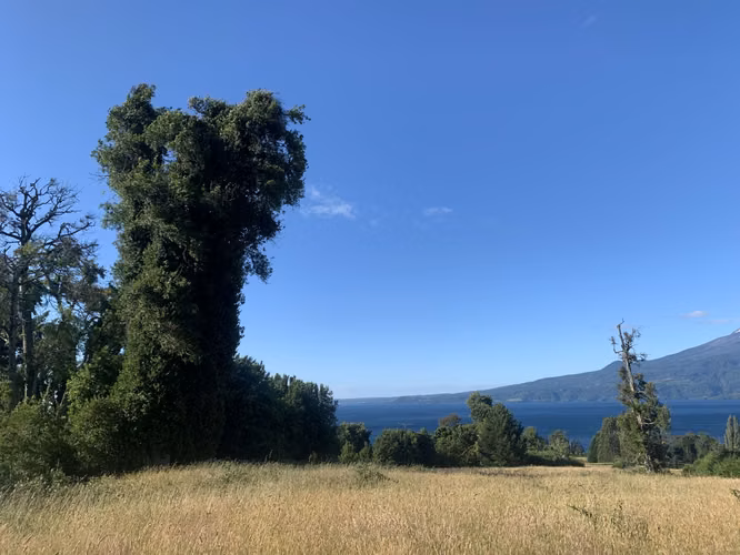 Preciosa Parcela Puerto Varas vista al Lago y acceso privado a playa