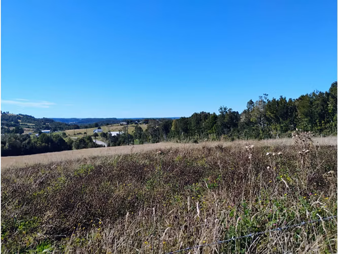 Se vende Parcela en Cogomó, Ancud
