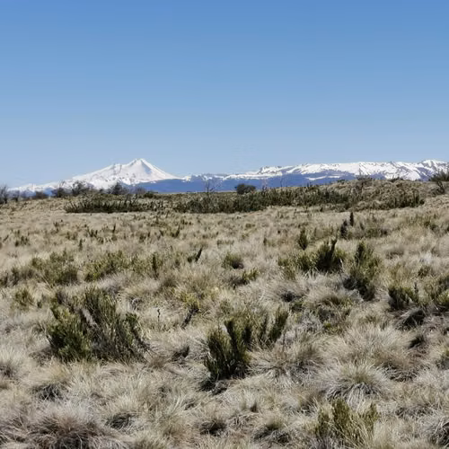 Parcela de 5000mt2 en La Araucania con vista 360 a volcanes especial para randonee moto de nieve