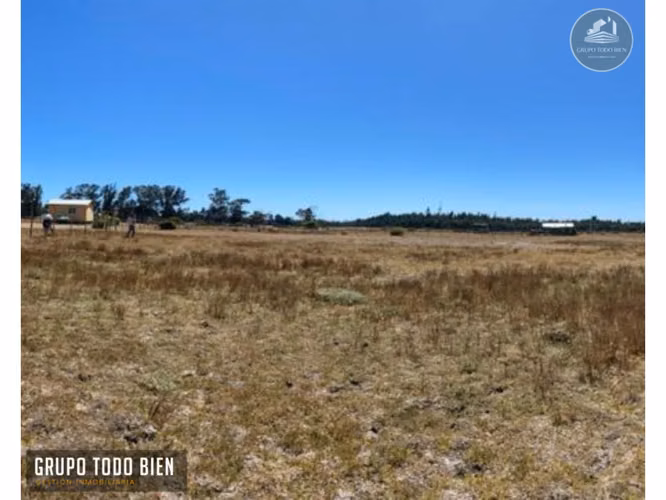 Oportunidad Única: 2 Parcelas Agrícolas al Precio de 1 - Imagen 8