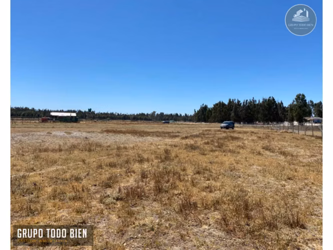 Oportunidad Única: 2 Parcelas Agrícolas al Precio de 1 - Imagen 5