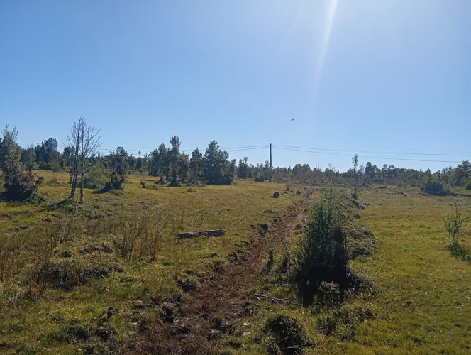 Se vende hermosa parcela en Quemchi