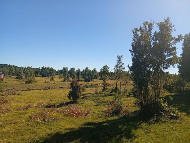 Se vende hermosa parcela en Quemchi