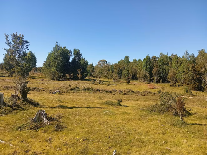Se vende hermosa parcela en Quemchi