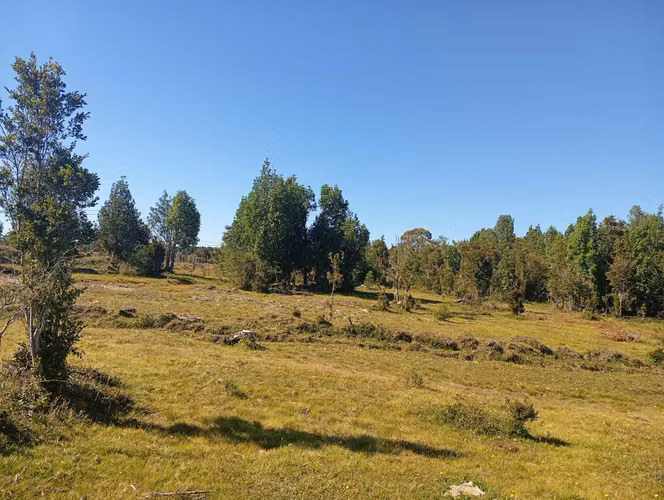 Se vende hermosa parcela en Quemchi