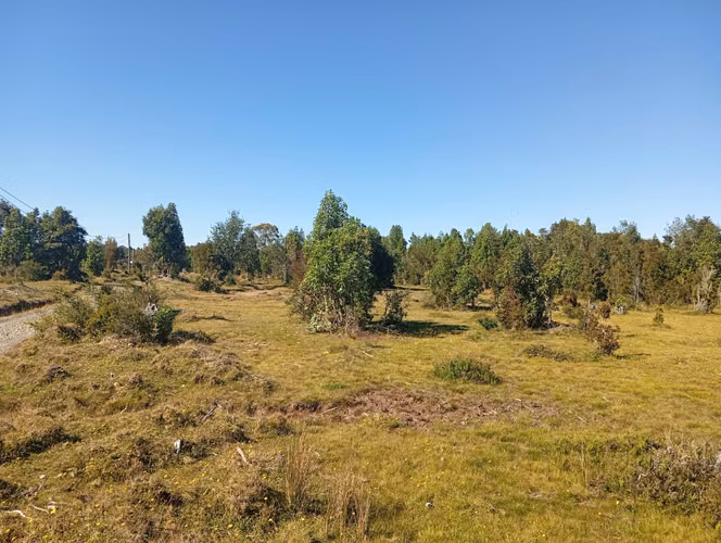 Se vende hermosa parcela en Quemchi