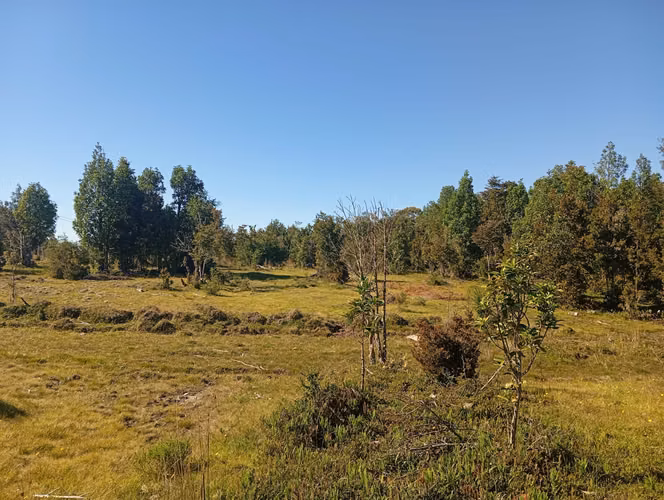Se vende hermosa parcela en Quemchi