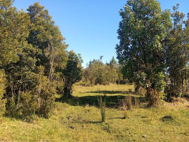 Se vende hermosa parcela en Quemchi