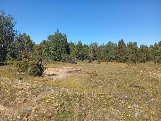 Se vende hermosa parcela en Quemchi