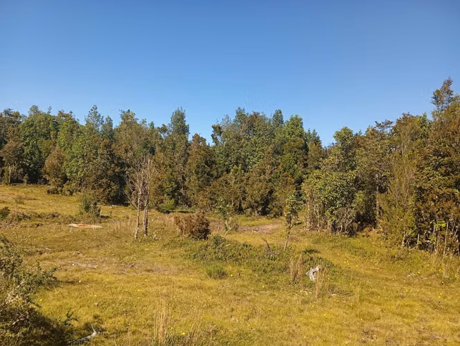 Se vende hermosa parcela en Quemchi