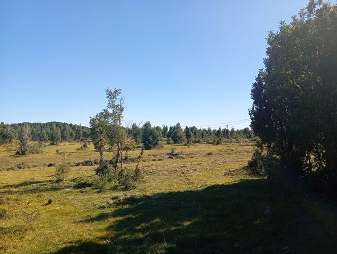 Se vende hermosa parcela en Quemchi