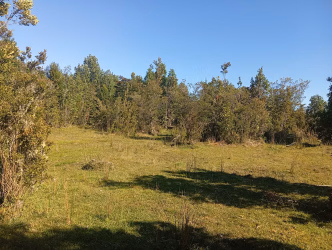 Se vende hermosa parcela en Quemchi