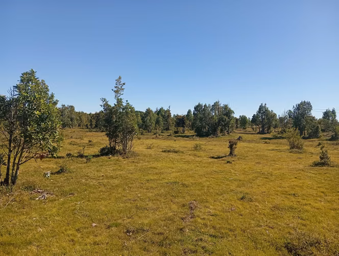 Se vende hermosa parcela en Quemchi