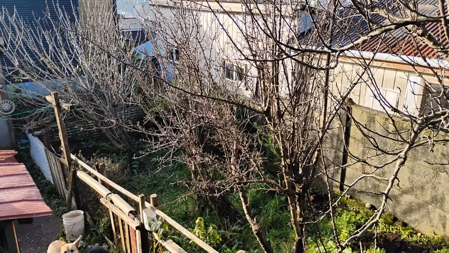 Se vende casa en Ancud