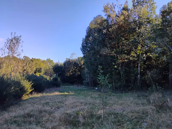 Se vende hermosa casa en Ancud