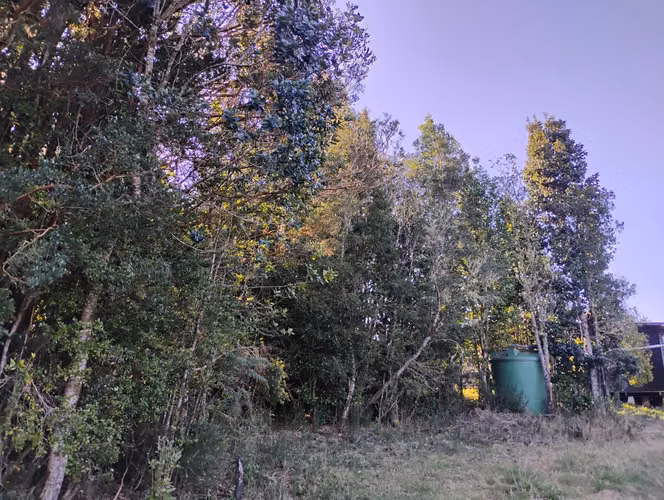 Se vende hermosa casa en Ancud