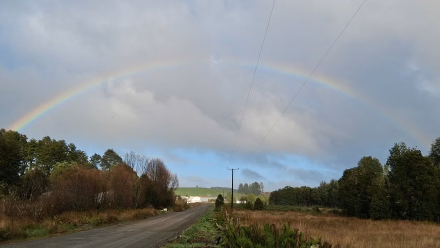 Se vende terreno de 26 hectareas en Chiloé