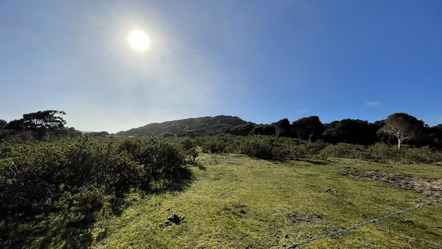 REBAJADA! Parcela 1 HA con Luz, Agua,  Cabaña y Baños - Imagen 12