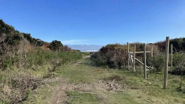 REBAJADA! Parcela 1 HA con Luz, Agua,  Cabaña y Baños - Imagen 8