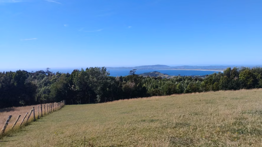 Se venden dos predios de 4 hectareas cada uno en Pumillahue, Ancud