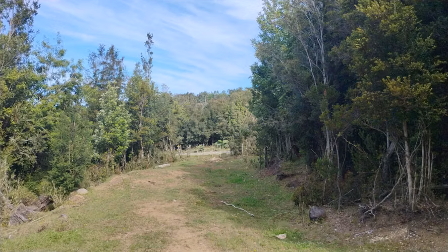 Se venden dos predios de 4 hectareas cada uno en Pumillahue, Ancud