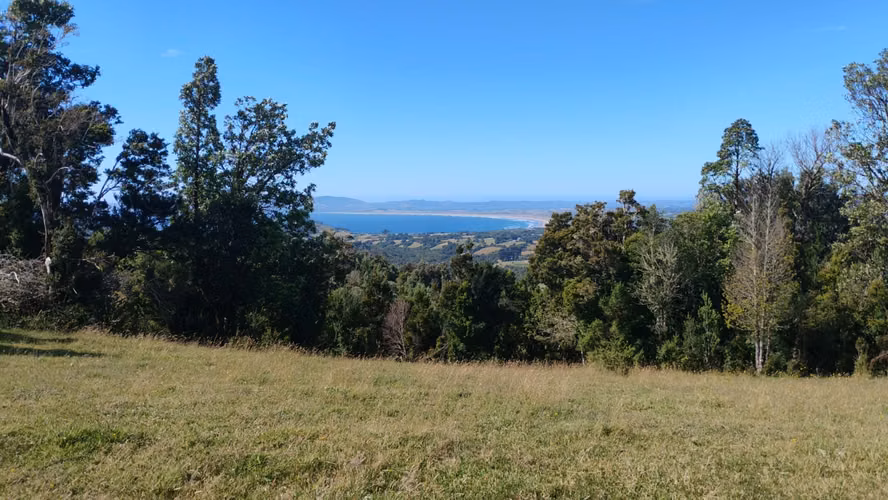 Se venden dos predios de 4 hectareas cada uno en Pumillahue, Ancud