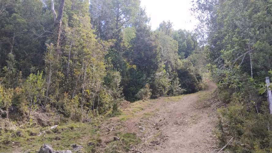 Se venden dos predios de 4 hectareas cada uno en Pumillahue, Ancud
