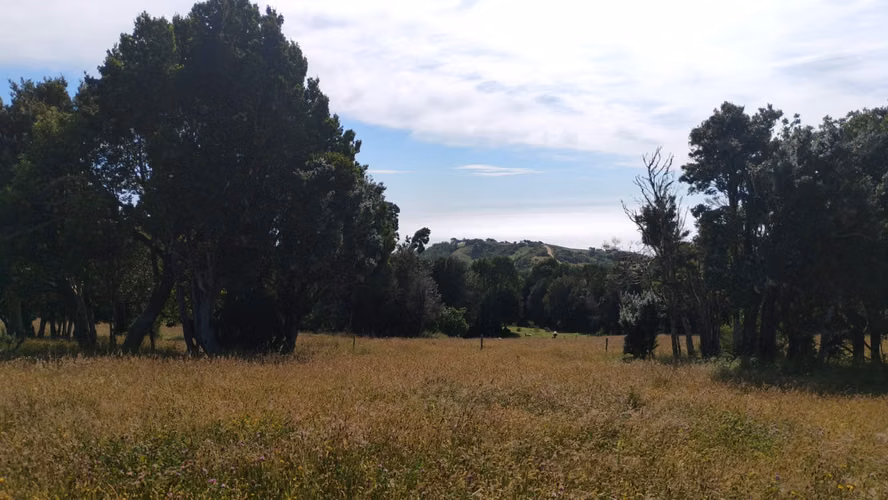 Se venden dos predios de 4 hectareas cada uno en Pumillahue, Ancud