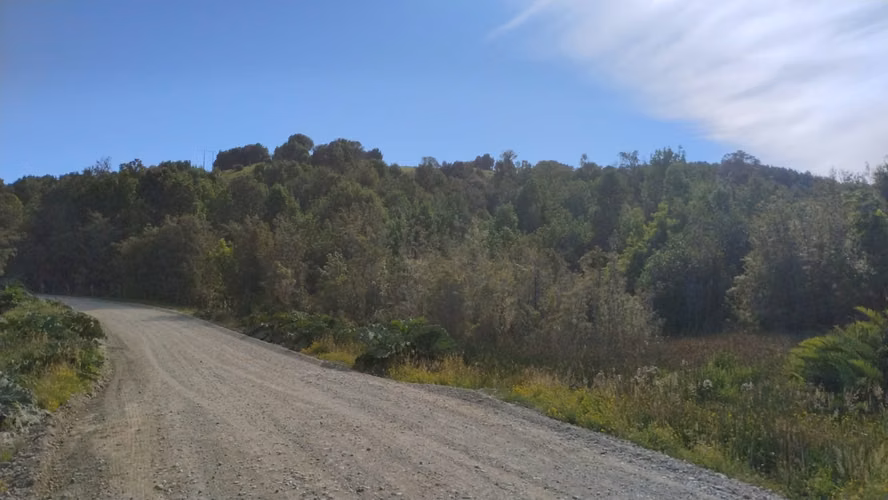 Se venden dos predios de 4 hectareas cada uno en Pumillahue, Ancud