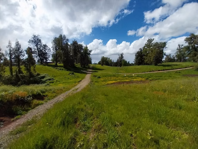 Se vende parcela en Osorno