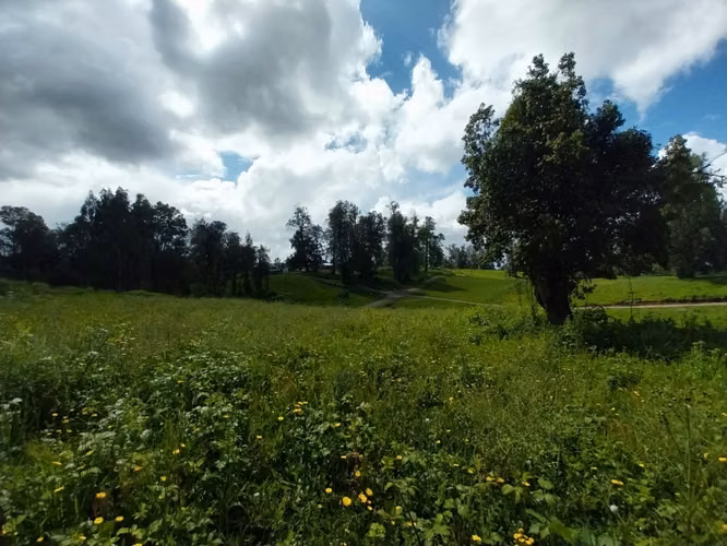 Se vende parcela en Osorno