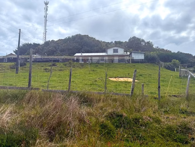 Se venden tres propiedades en Chiloé