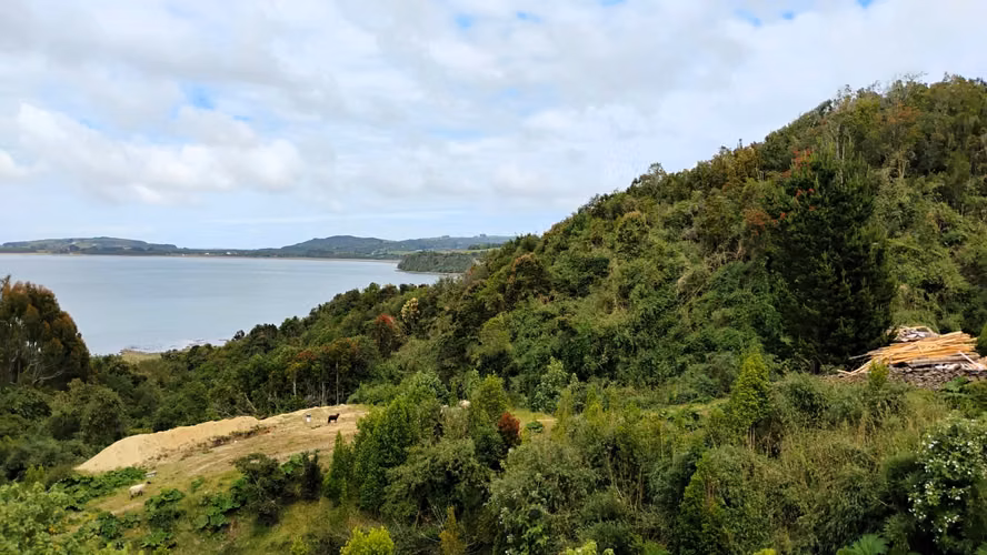Se venden tres propiedades en Chiloé