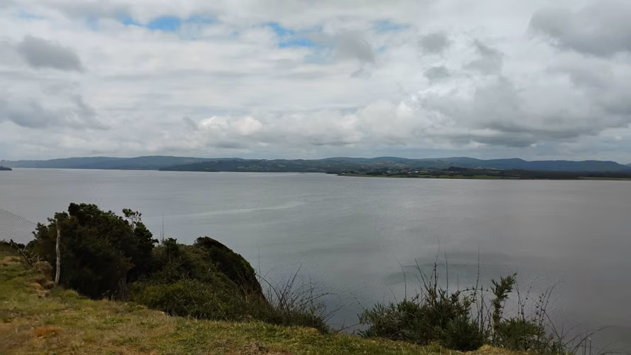 Se venden tres propiedades en Chiloé