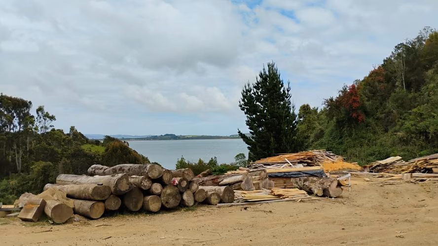 Se venden tres propiedades en Chiloé