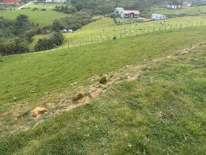 Se venden tres propiedades en Chiloé