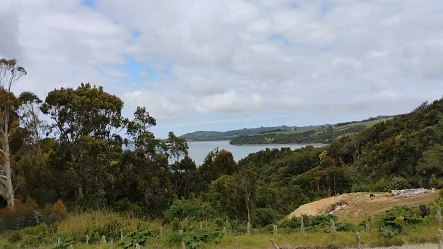 Se venden tres propiedades en Chiloé