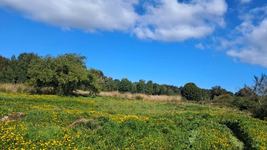 Se vende terreno de 3 hectareas en Ancud