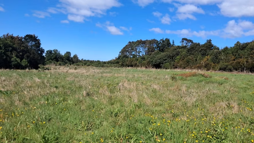 Se vende terreno de 3 hectareas en Ancud