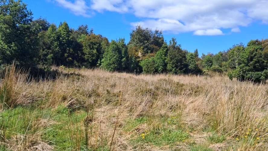 Se vende terreno de 3 hectareas en Ancud
