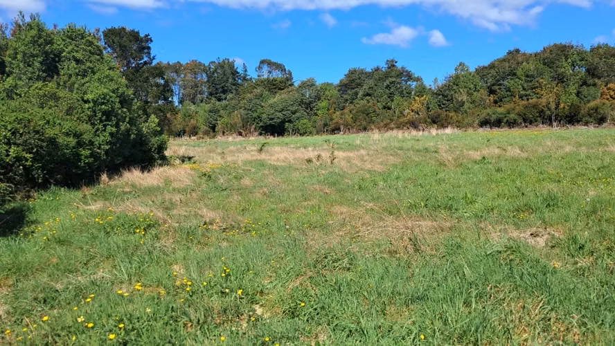 Se vende terreno de 3 hectareas en Ancud