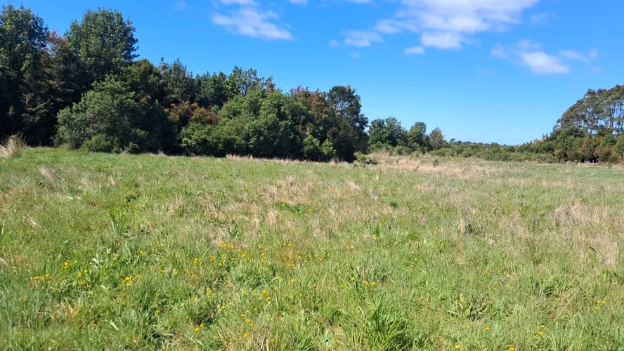 Se vende terreno de 3 hectareas en Ancud