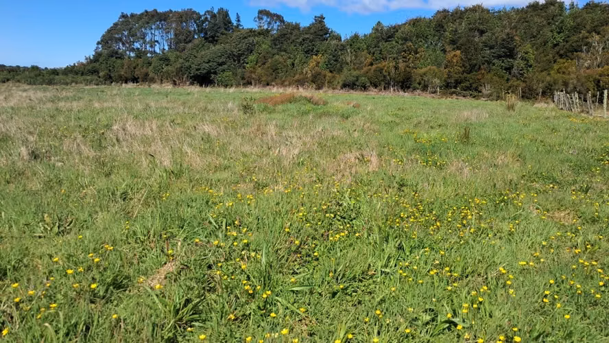 Se vende terreno de 3 hectareas en Ancud