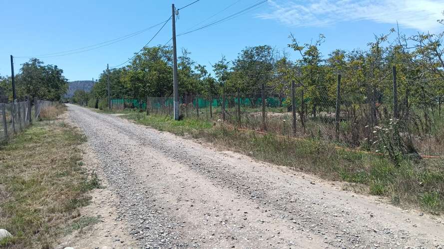 REQUINOA REGIA CASA PARCELA LOS NOGALES EL TRIGAL CHUMACO SEXTA REGION O'HIGGINS